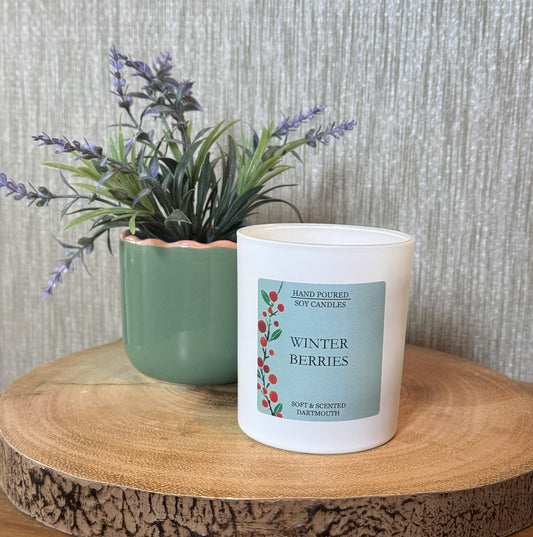 30cl Winter Berries candle