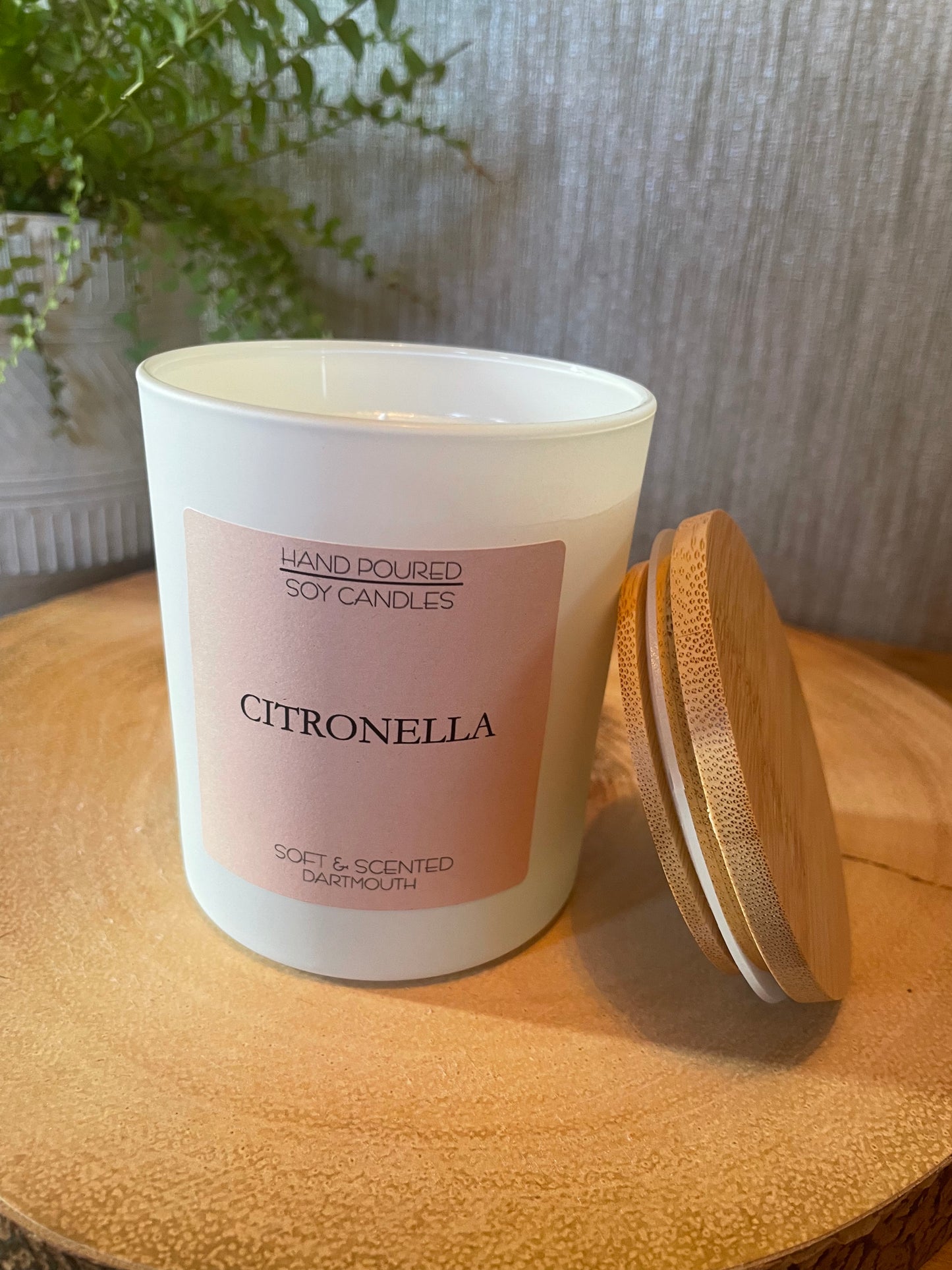 30cl Citronella Candle